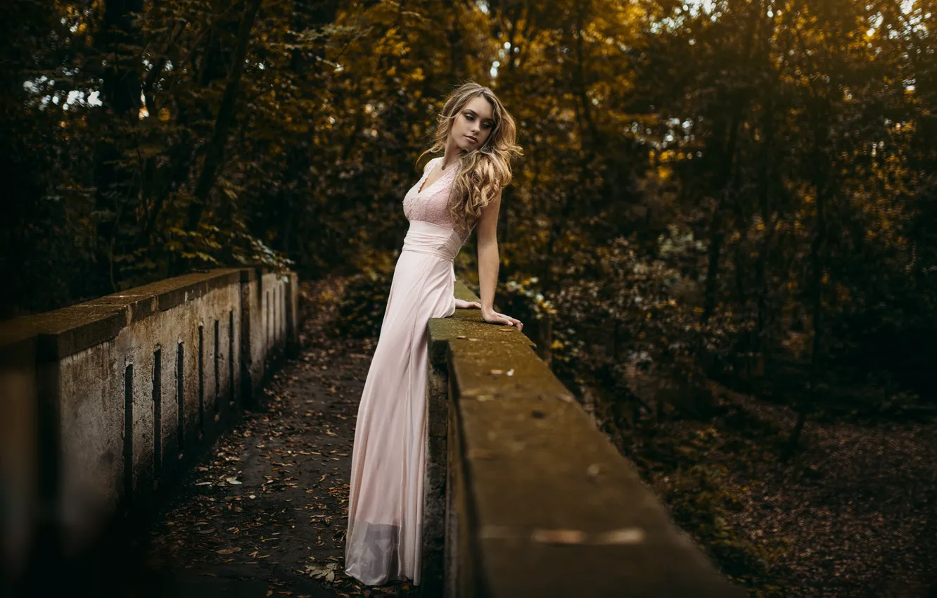 Фото обои осень, девушка, мост, поза, фигура, платье, красивая, Наташа