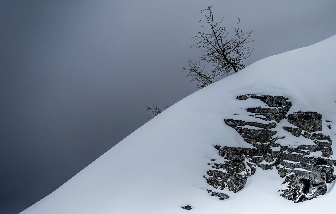 Фото обои rock, winter, mountain, snow, tree, cloudy