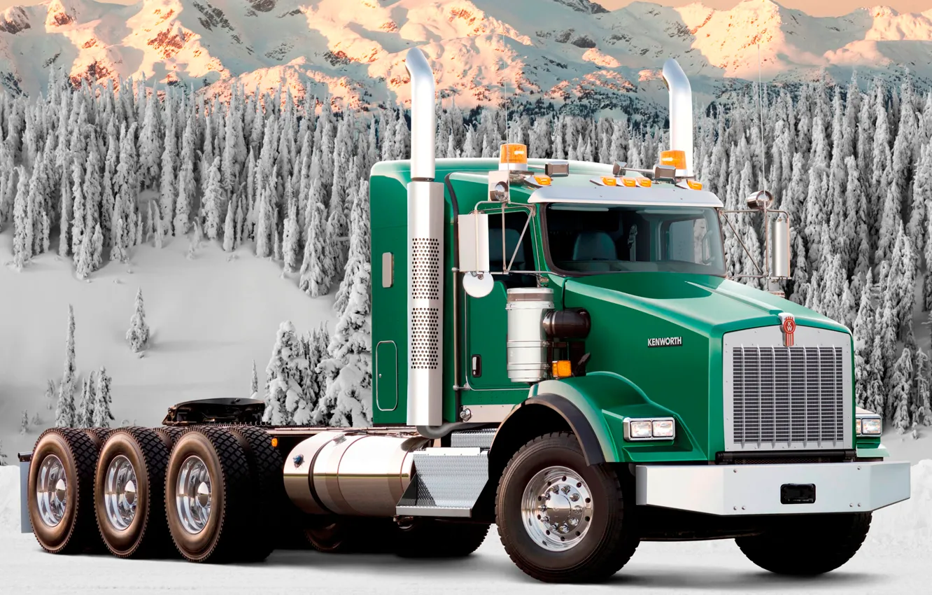 Фото обои лес, снег, горы, грузовик, зелёный, t800, передок, track