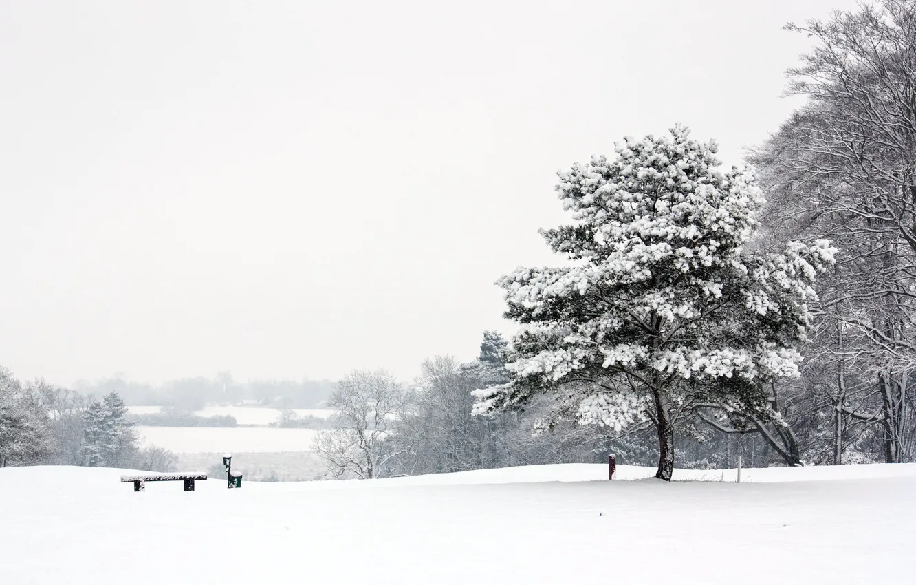 Фото обои зима, пейзаж, парк