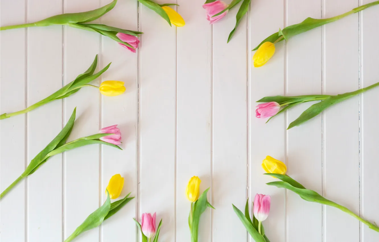 Фото обои цветы, весна, желтые, тюльпаны, розовые, fresh, yellow, wood