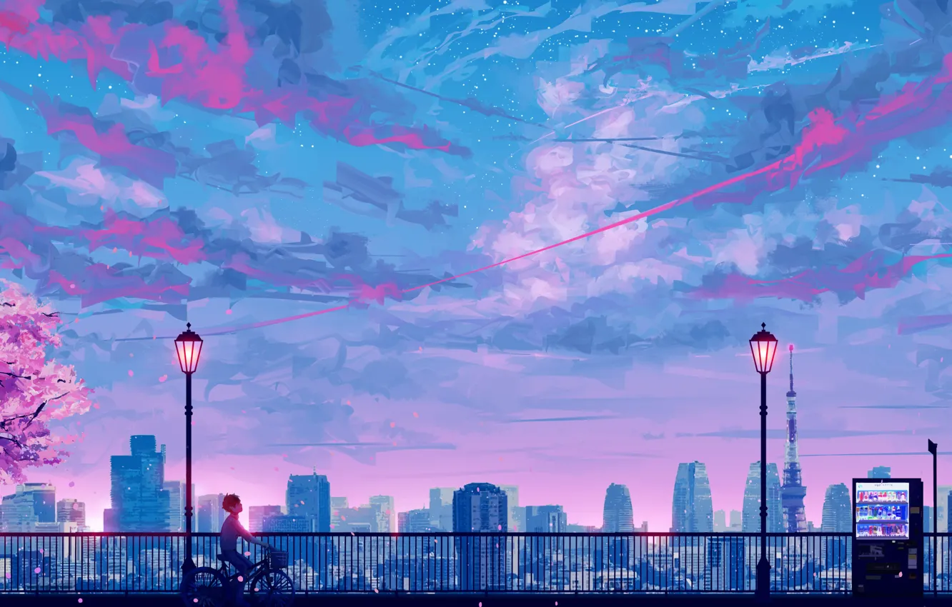 Фото обои небо, закат, велосипед, сакура, парень, остановка, by SeerLight