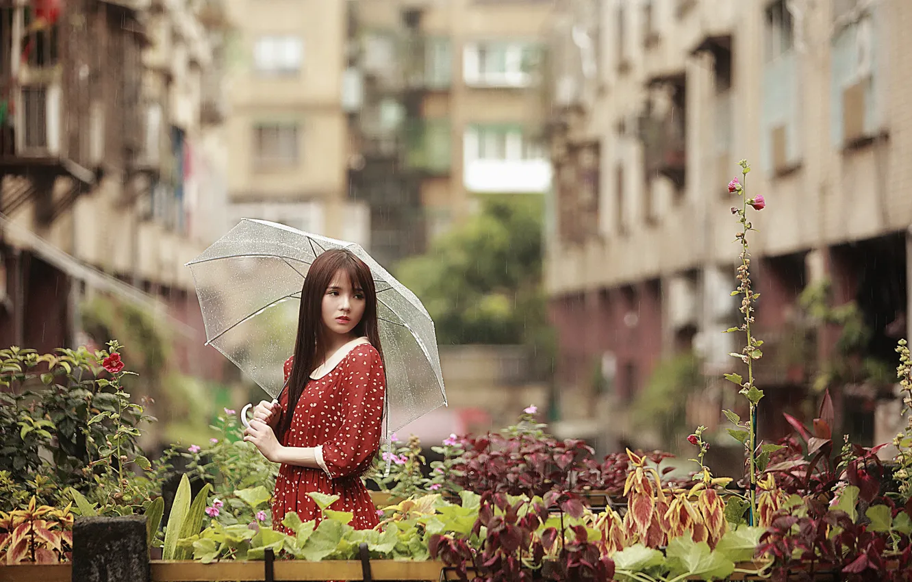 Фото обои грусть, девушка, лицо, зонтик, дождь, платье