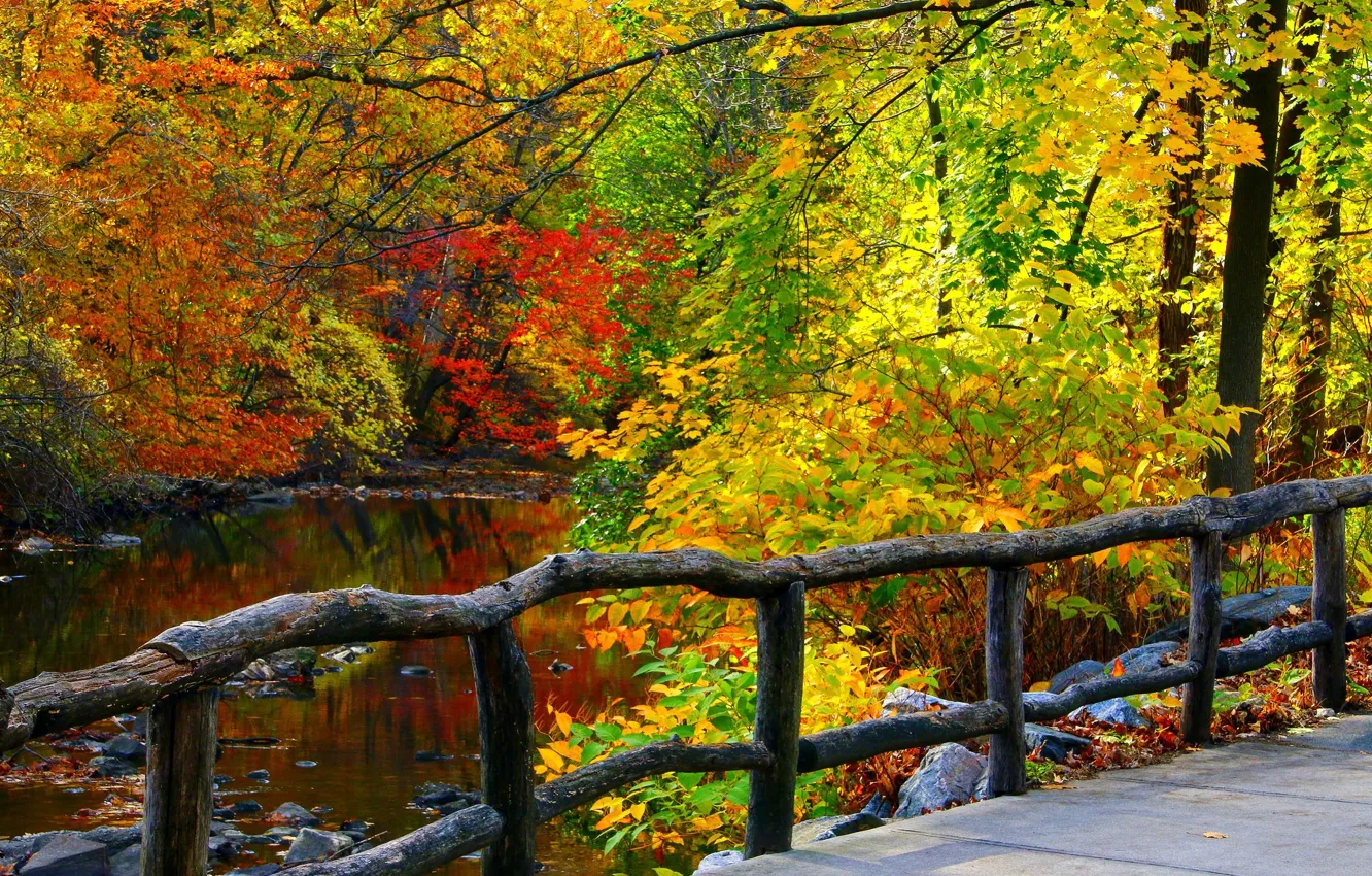 Фото обои осень, лес, листья, вода, деревья, горы, природа, парк