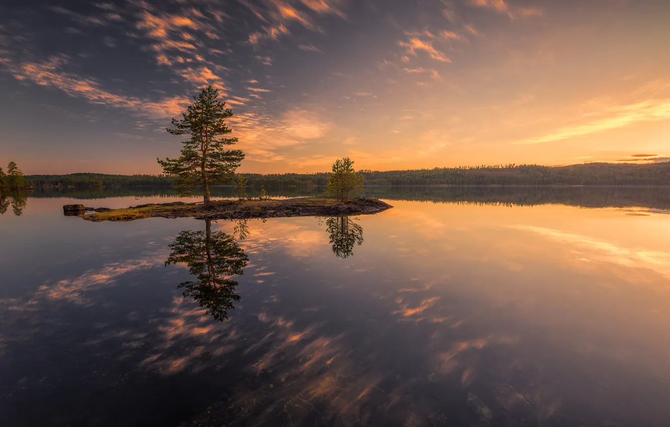 Фото обои лес, закат, озеро, Норвегия, norway, ringerike