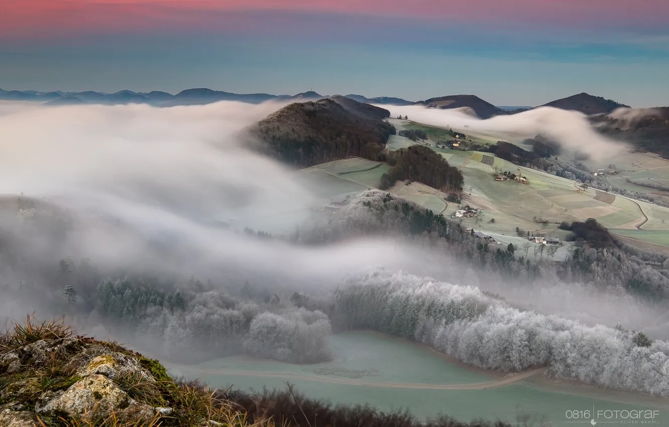 Фото обои туман, холмы, утро, леса