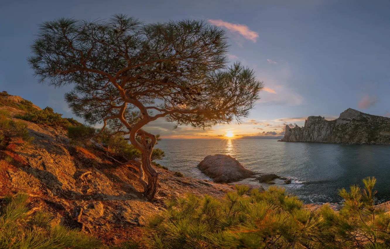 Фото обои море, солнце, лучи, пейзаж, закат, горы, природа, дерево