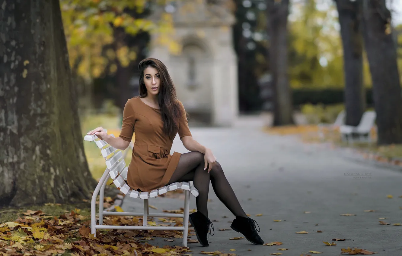 Фото обои осень, взгляд, девушка, скамейка, поза, парк, волосы, платье