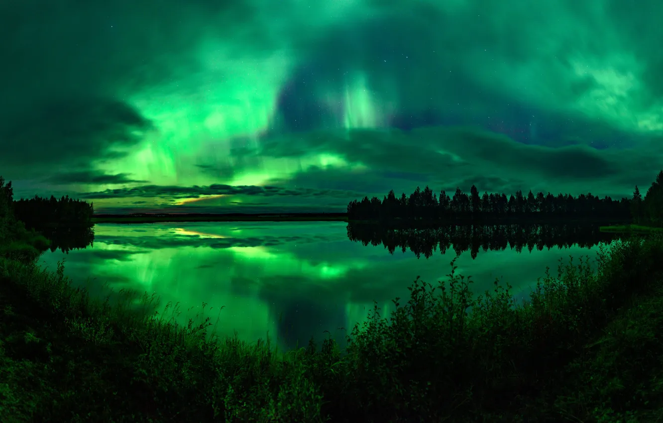 Фото обои лес, небо, трава, облака, ночь, озеро, отражение, берег