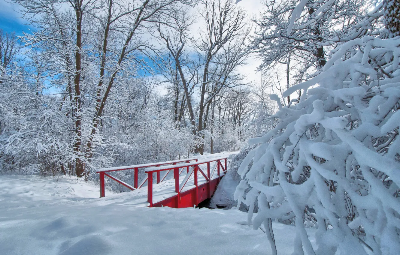 Фото обои зима, снег, деревья, парк, мостик