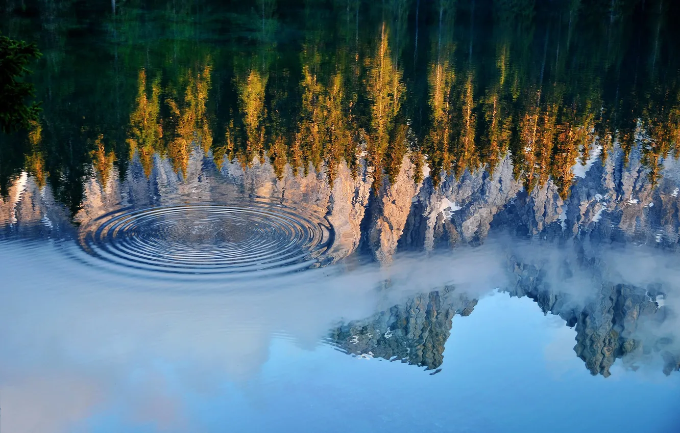 Фото обои лес, вода, деревья, круги, горы, озеро, отражение, всплеск