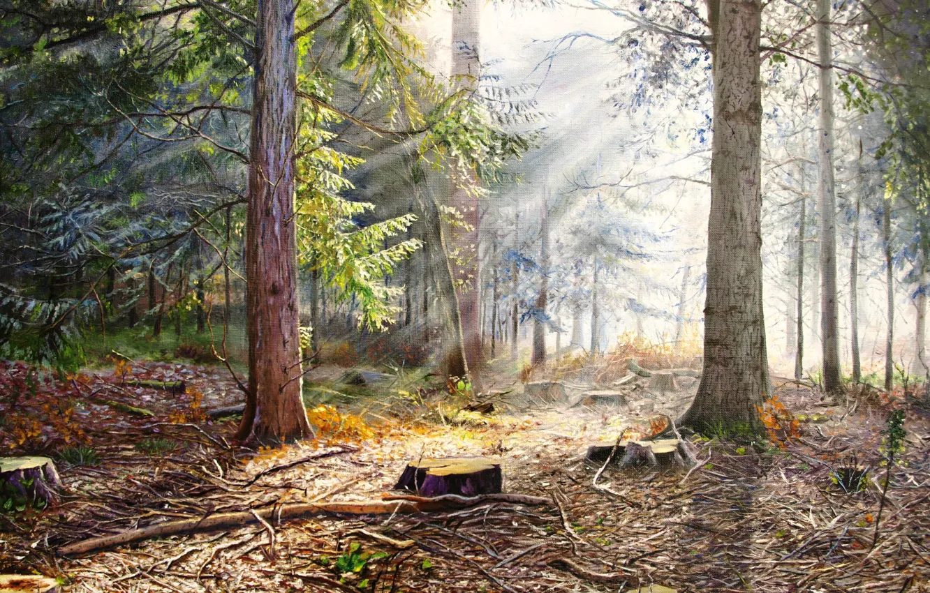 Фото обои лес, лето, деревья, рассвет, картина, утро, живопись, пеньки