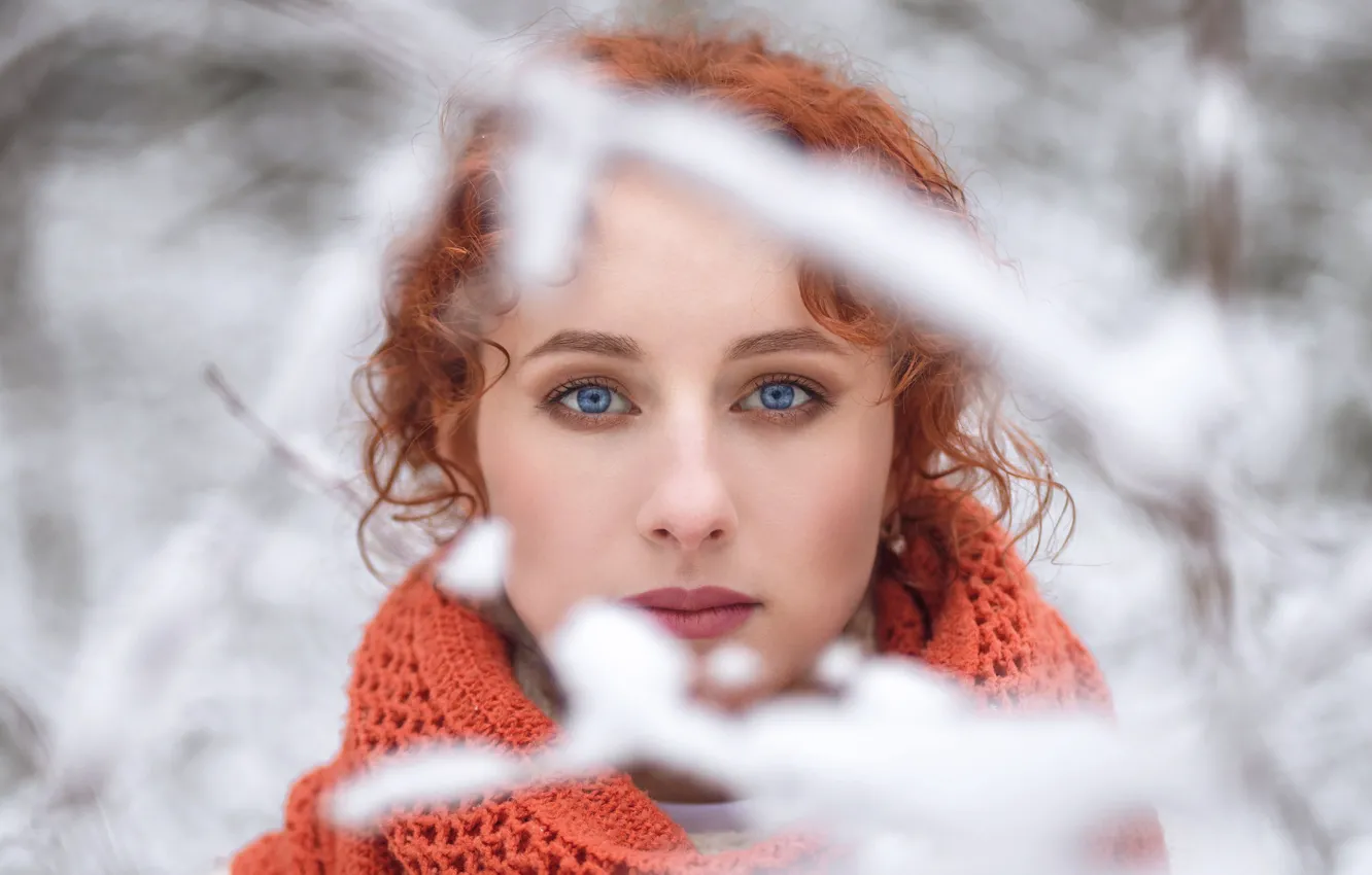 Фото обои взгляд, девушка, снег, ветки, лицо, портрет, размытость, рыжая
