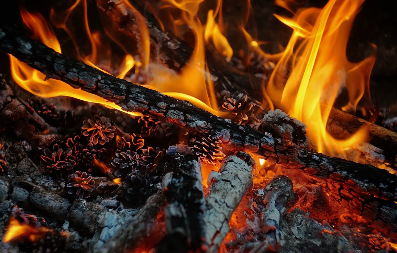 Фото обои огонь, пламя, жар, дрова