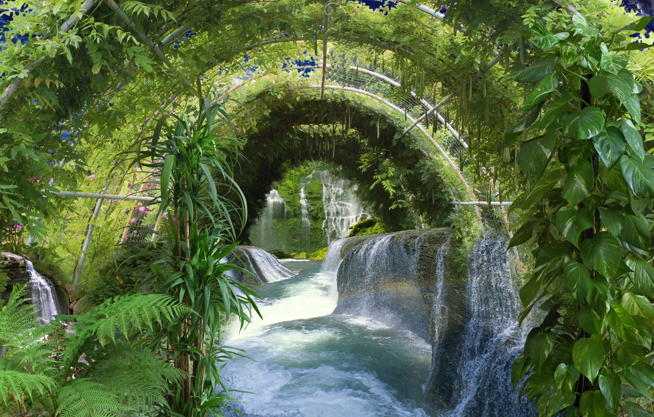 Фото обои листья, вода, деревья, цветы, парк, водопад, поток, растения