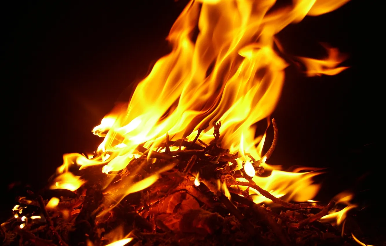 Фото обои макро, тьма, огонь, пламя, fire, костёр