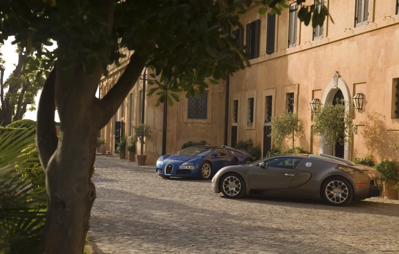 Фото обои Дерево, Дом, Свет, Bugatti Veyron