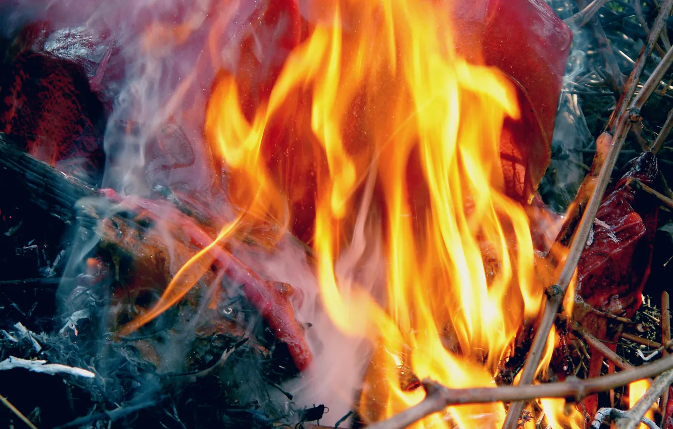Фото обои макро, ветки, пепел, огонь, дым, пластик