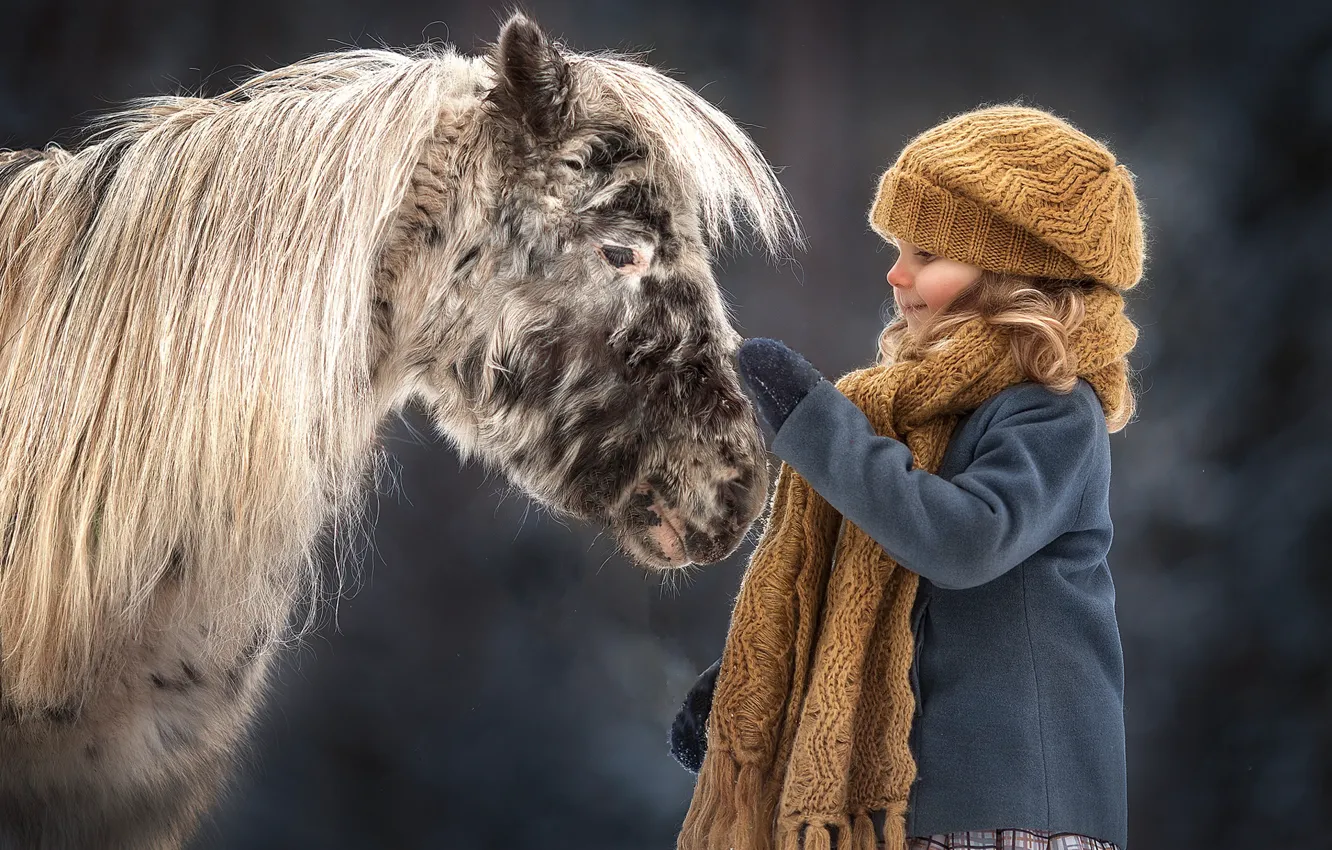 Фото обои настроение, девочка, пони, лошадка