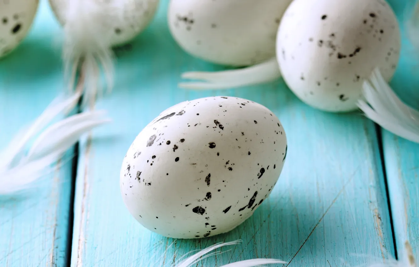Фото обои яйца, пасха, blue, eggs, easter, feather, pastel
