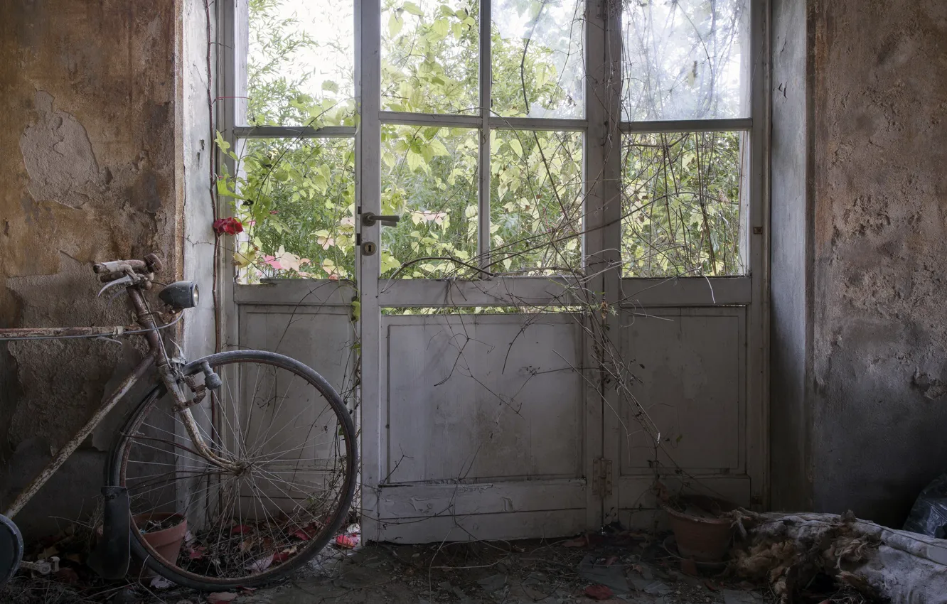 Фото обои велосипед, комната, дверь