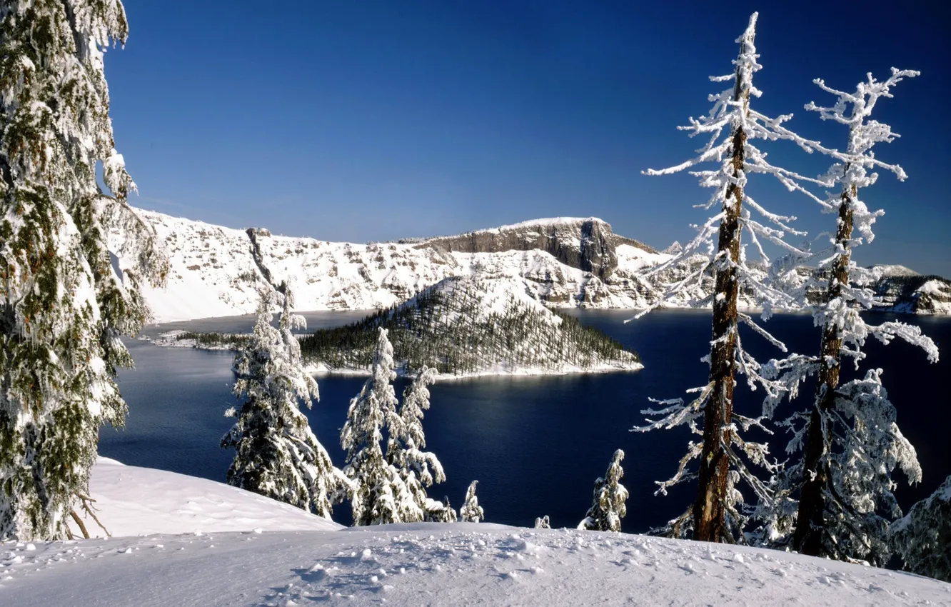 Фото обои зима, лес, снег, деревья, природа, озеро, остров