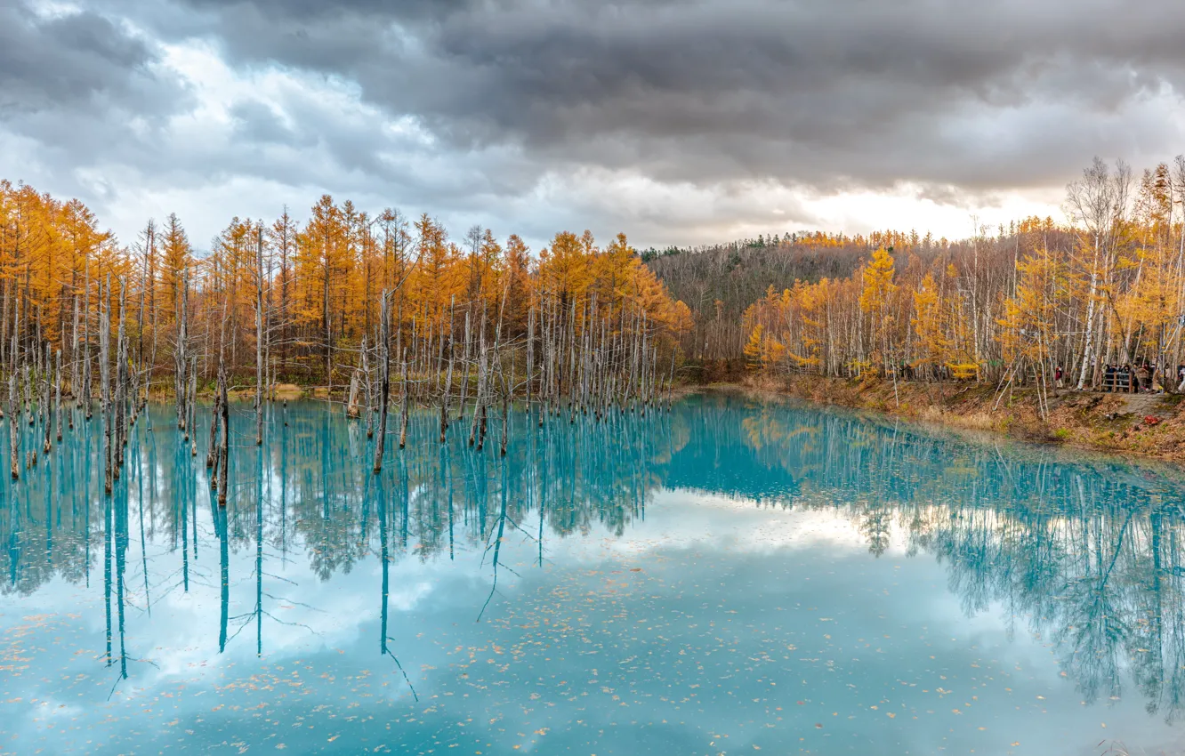 Фото обои Облака, Деревья, Япония, Хоккайдо, Пруд, Japan, Hokkaido, Blue Pond
