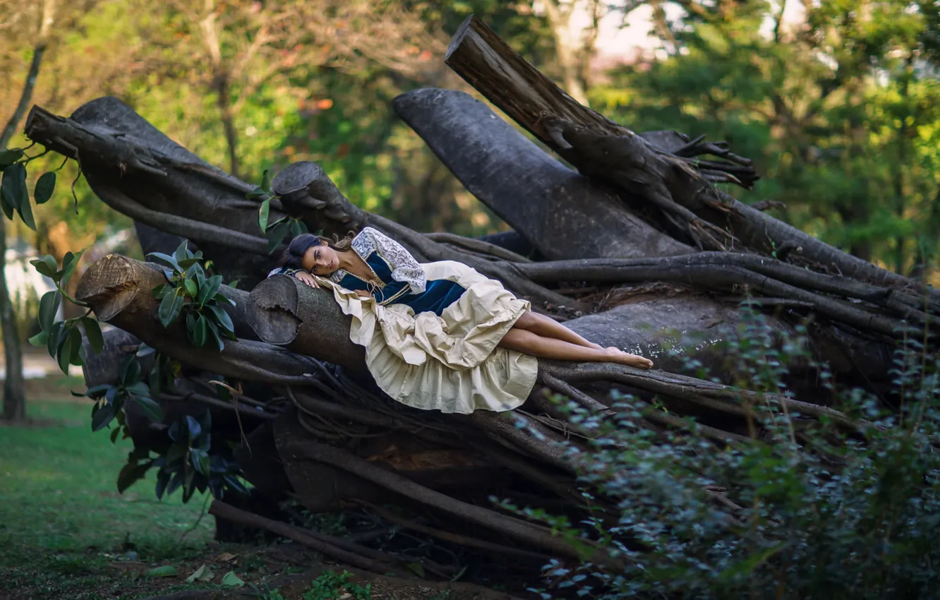 Фото обои девушка, деревья, отдых, платье, Ludovica