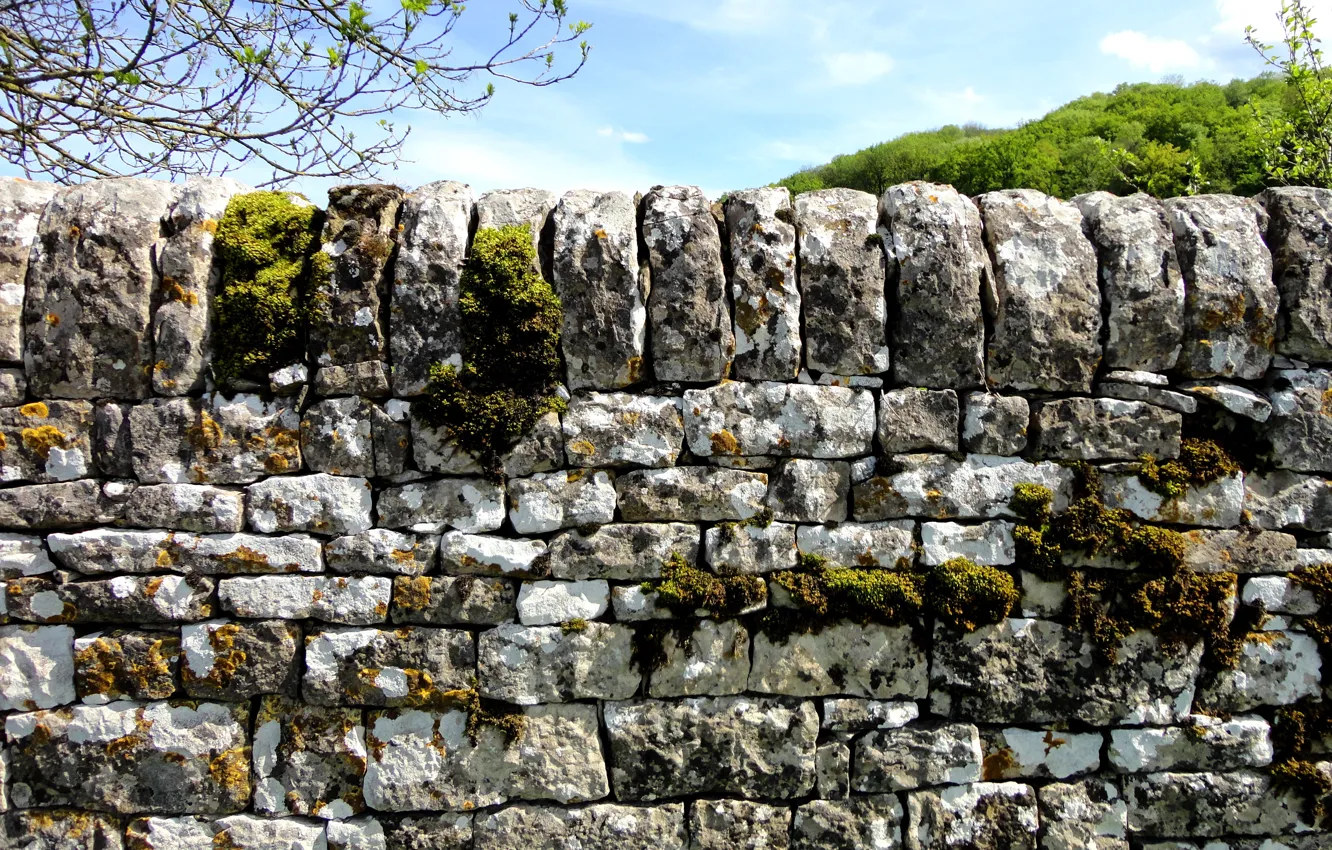 Фото обои природа, камни, мох, Каменный забор