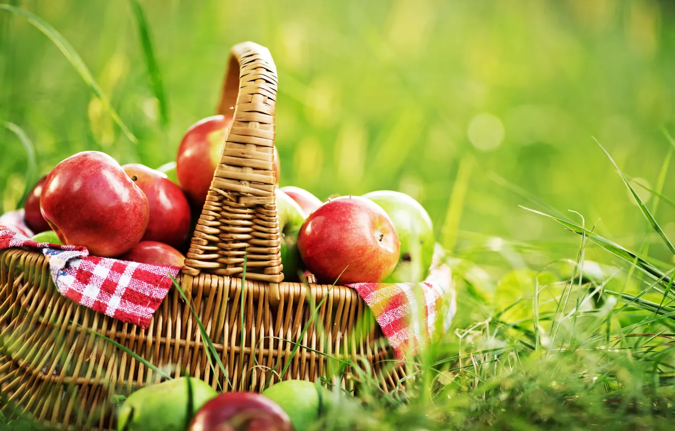 Фото обои зелень, лето, трава, корзина, поляна, яблоки, фрукты, боке