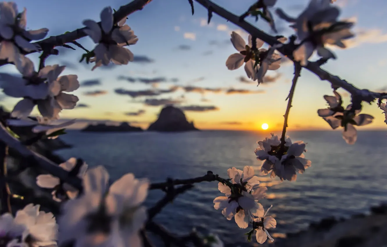 Фото обои море, рассвет, sea, Sunset, island, sun, ibiza, almond