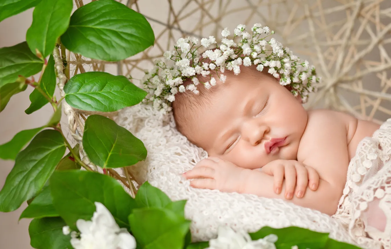 Фото обои цветы, ребенок, colors, гирлянда, Baby, новорожденный