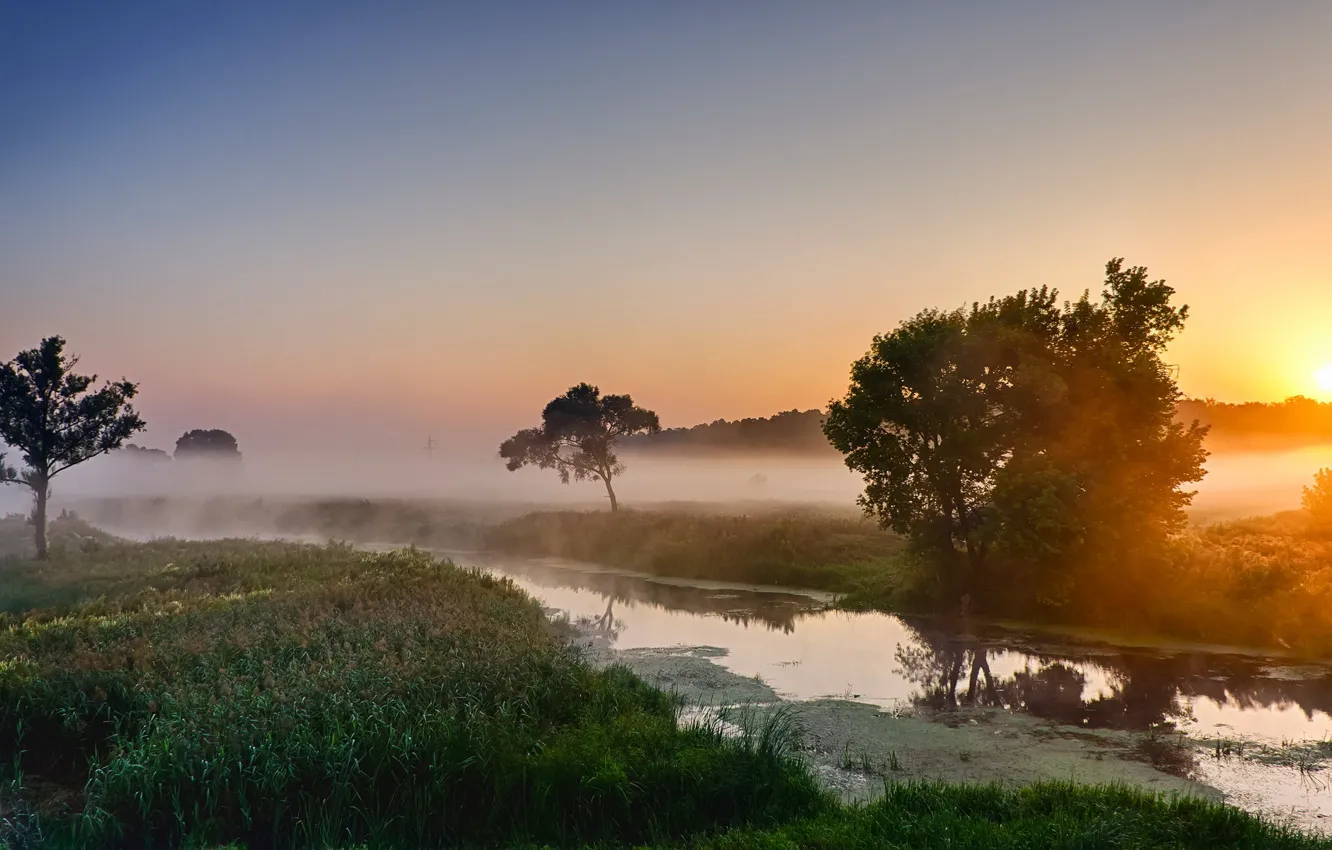 Фото обои пейзаж, туман, река, утро