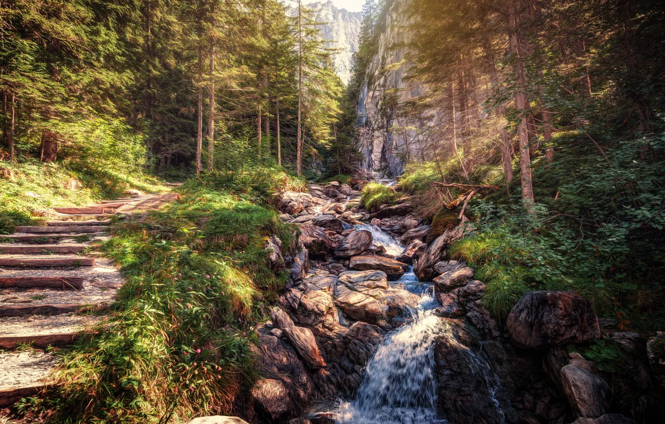 Фото обои лес, горы, ручей, камни, Швейцария, ступени, Switzerland, Schattenhalb