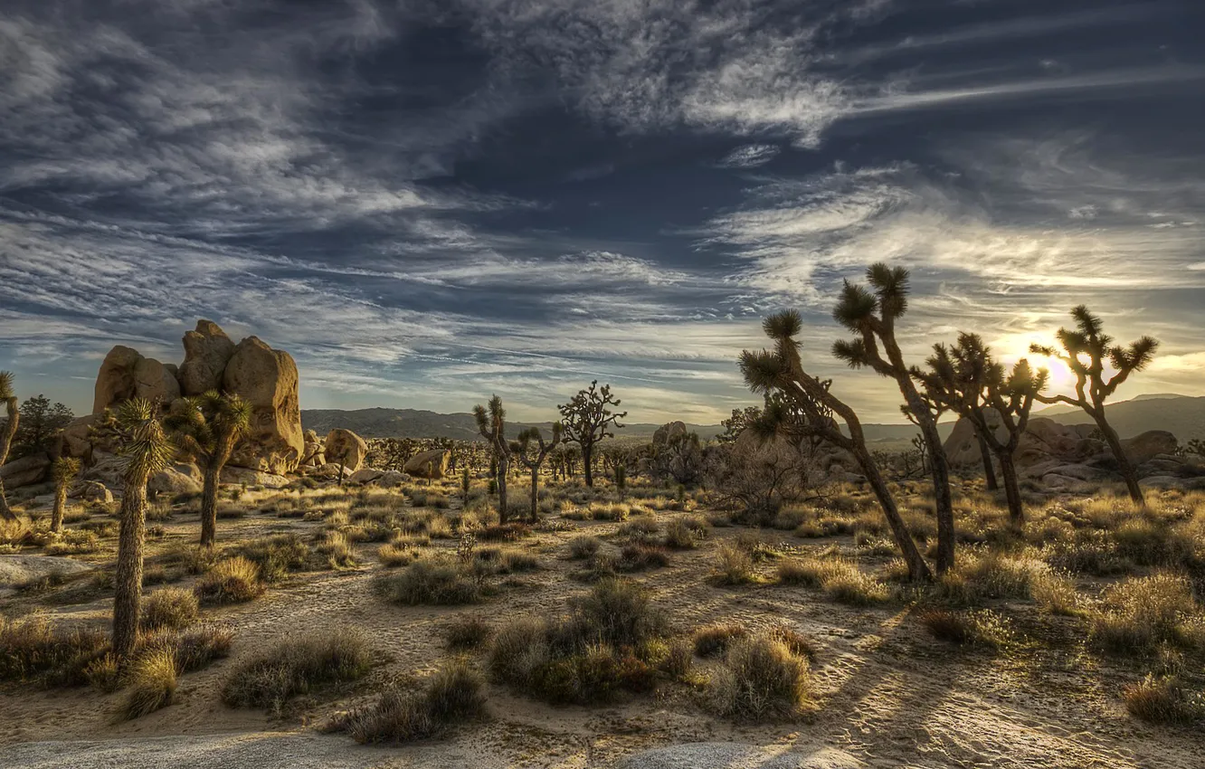 Фото обои небо, облака, деревья, горы, пустыня, hdr, california, сша