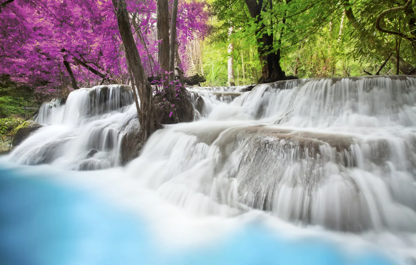 Фото обои вода, дерево, водопад, игра красок, цветные деревья