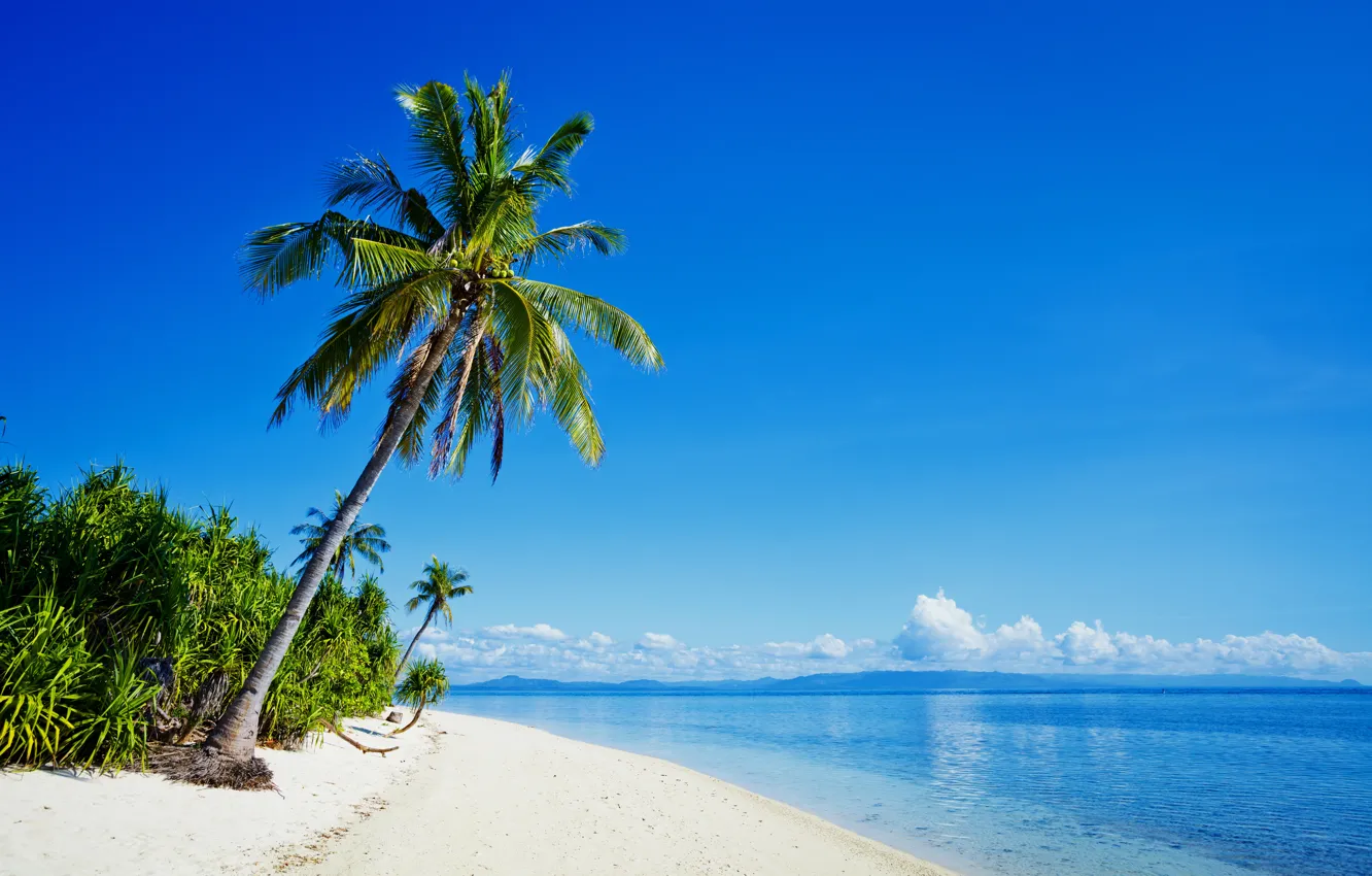 Фото обои Природа, Море, Пляж, Тропики, Пальмы, Побережье, Филиппины