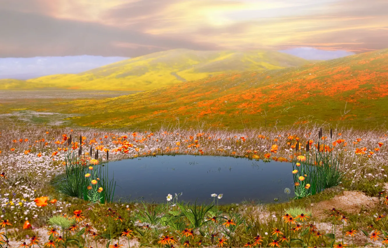 Фото обои цветы, горы, озеро, коллаж