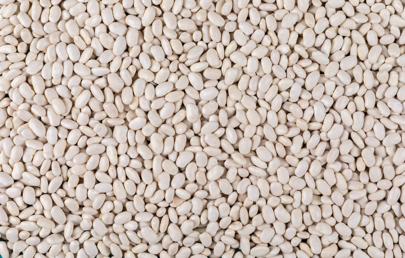Фото обои texture, food, white beans
