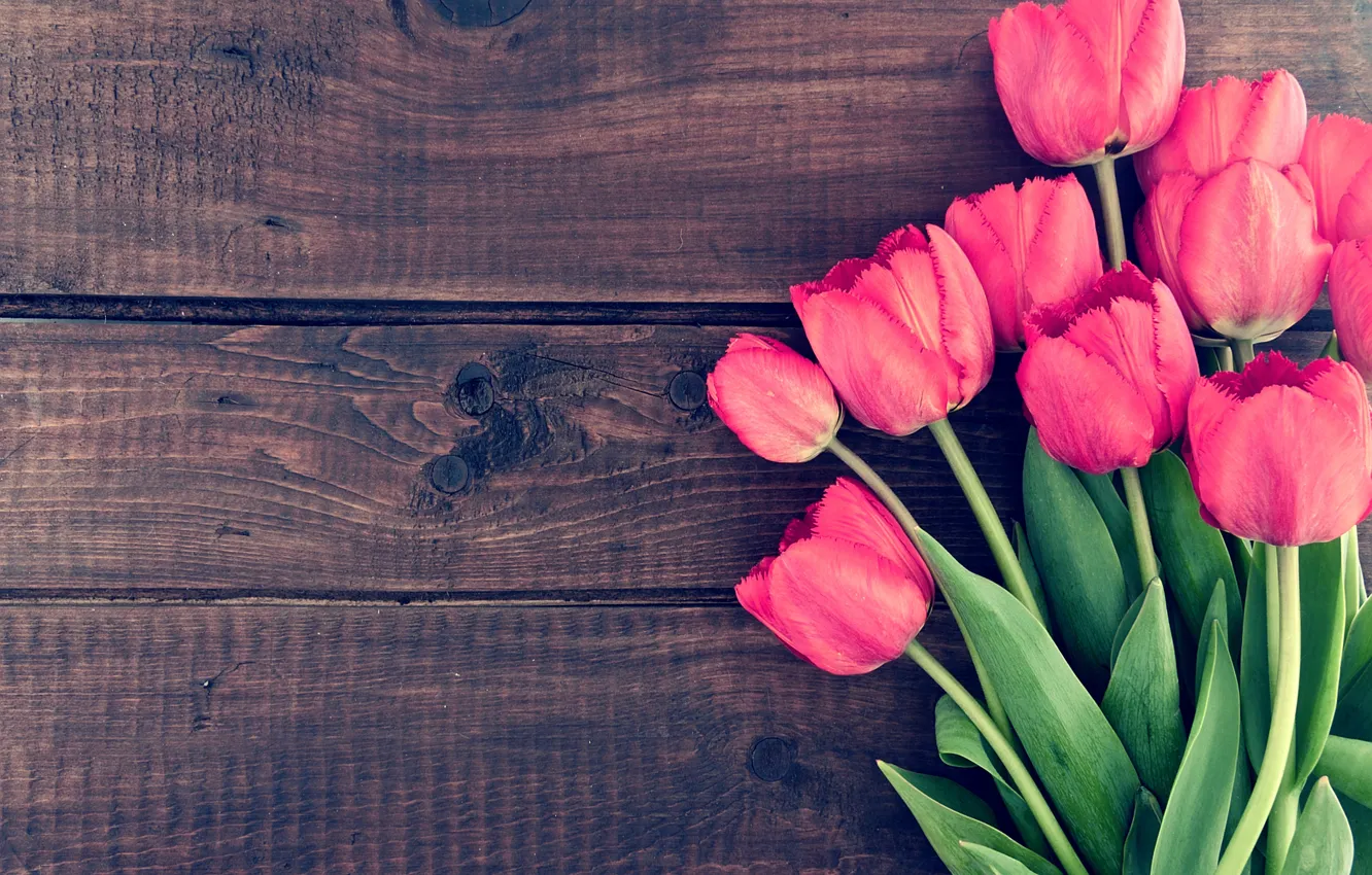 Фото обои цветы, букет, тюльпаны, wood, pink, romantic, tulips, spring