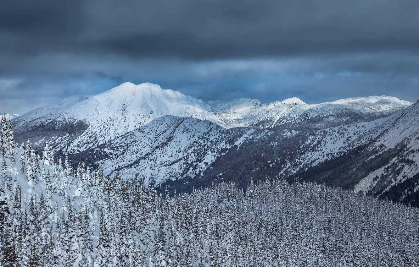 Фото обои Зима, Горы, Снег, Лес