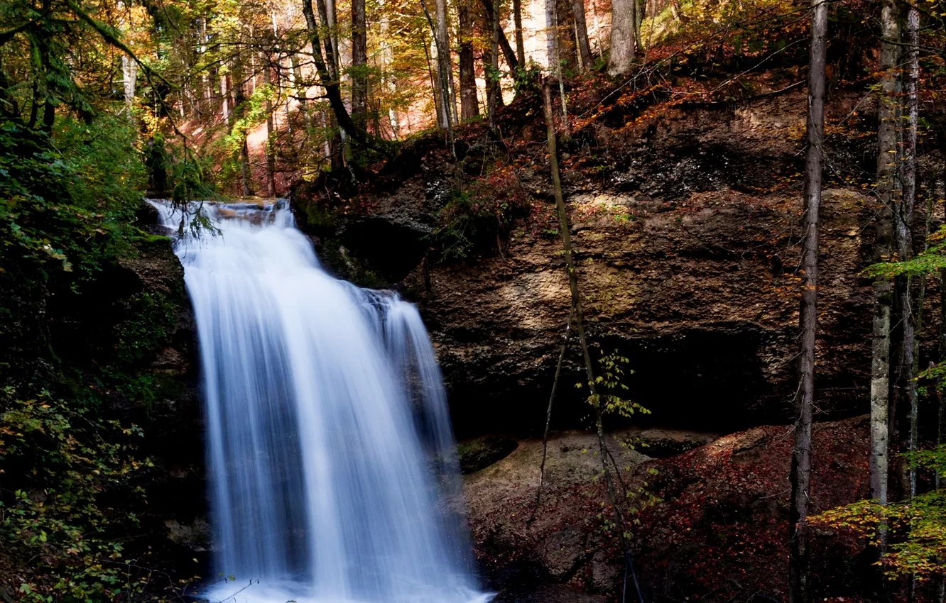 Фото обои деревья, природа, обрыв, водопад, trees, waterfall, the nature, breakage