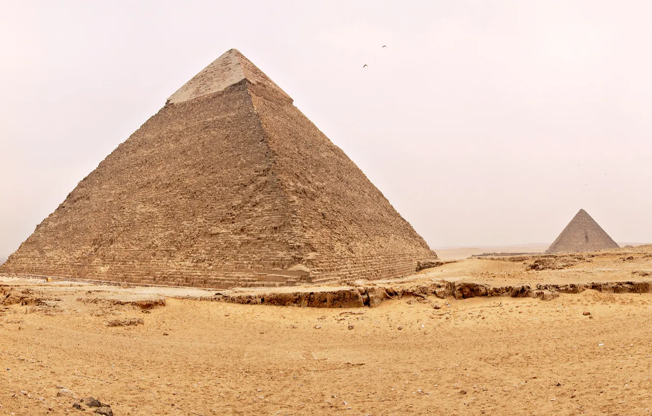 Фото обои песок, небо, птицы, пустыня, Египет, пирамиды