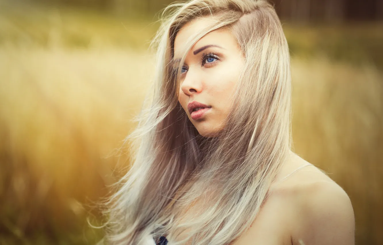 Фото обои поле, трава, солнце, фон, портрет, макияж, прическа, блондинка