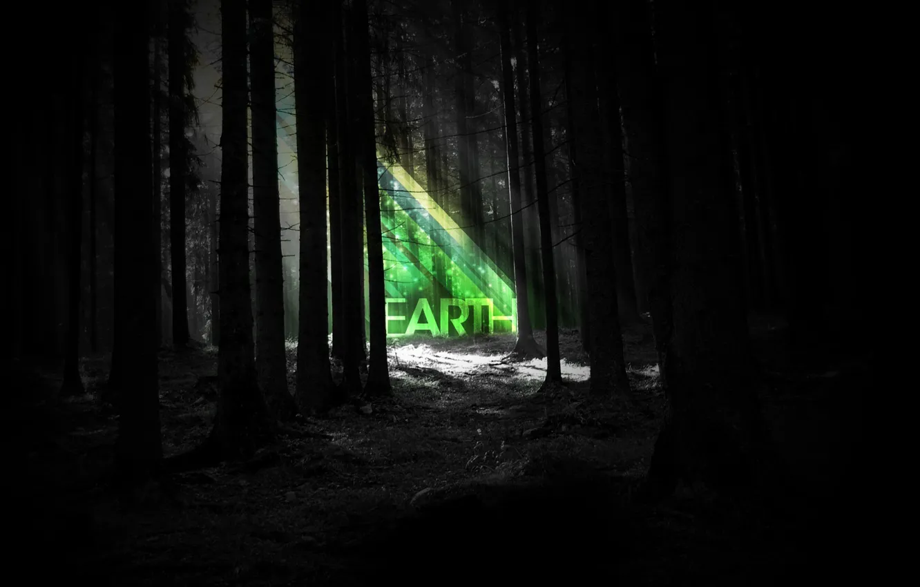 Фото обои лес, полоски, ночь, земля, earth