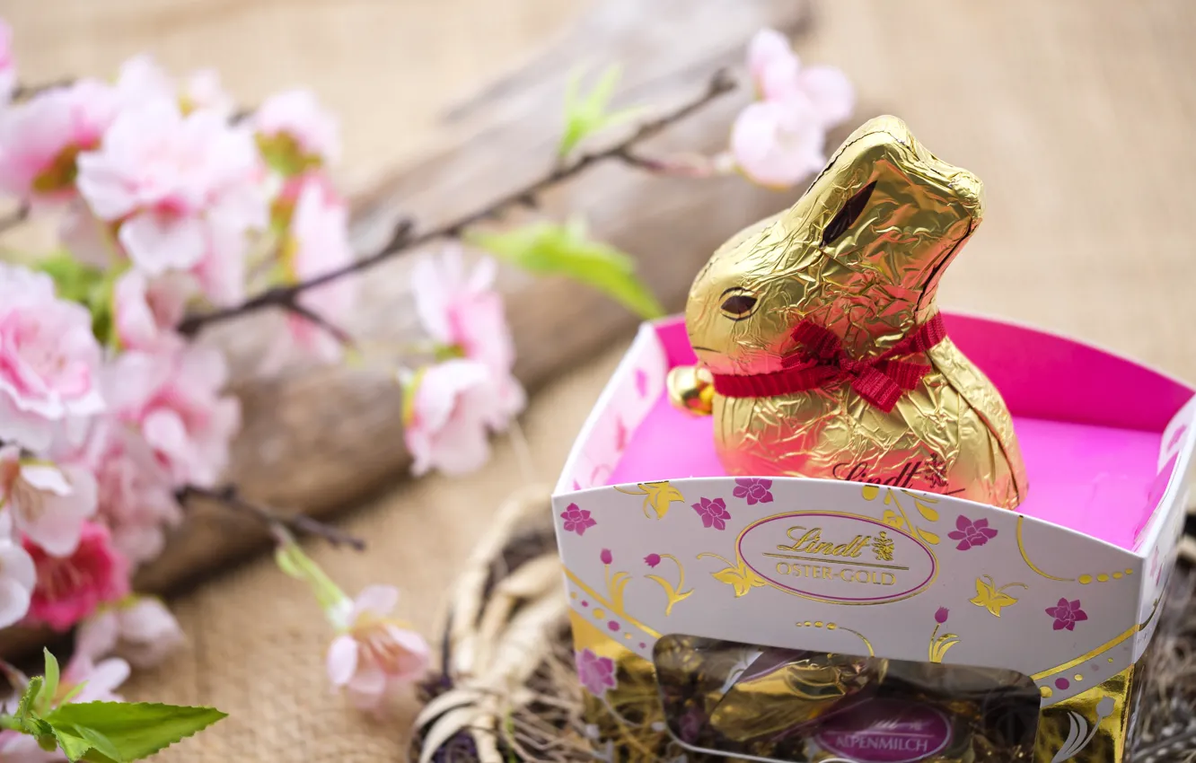 Фото обои вишня, праздник, коробка, шоколад, заяц, ветка, весна, кролик