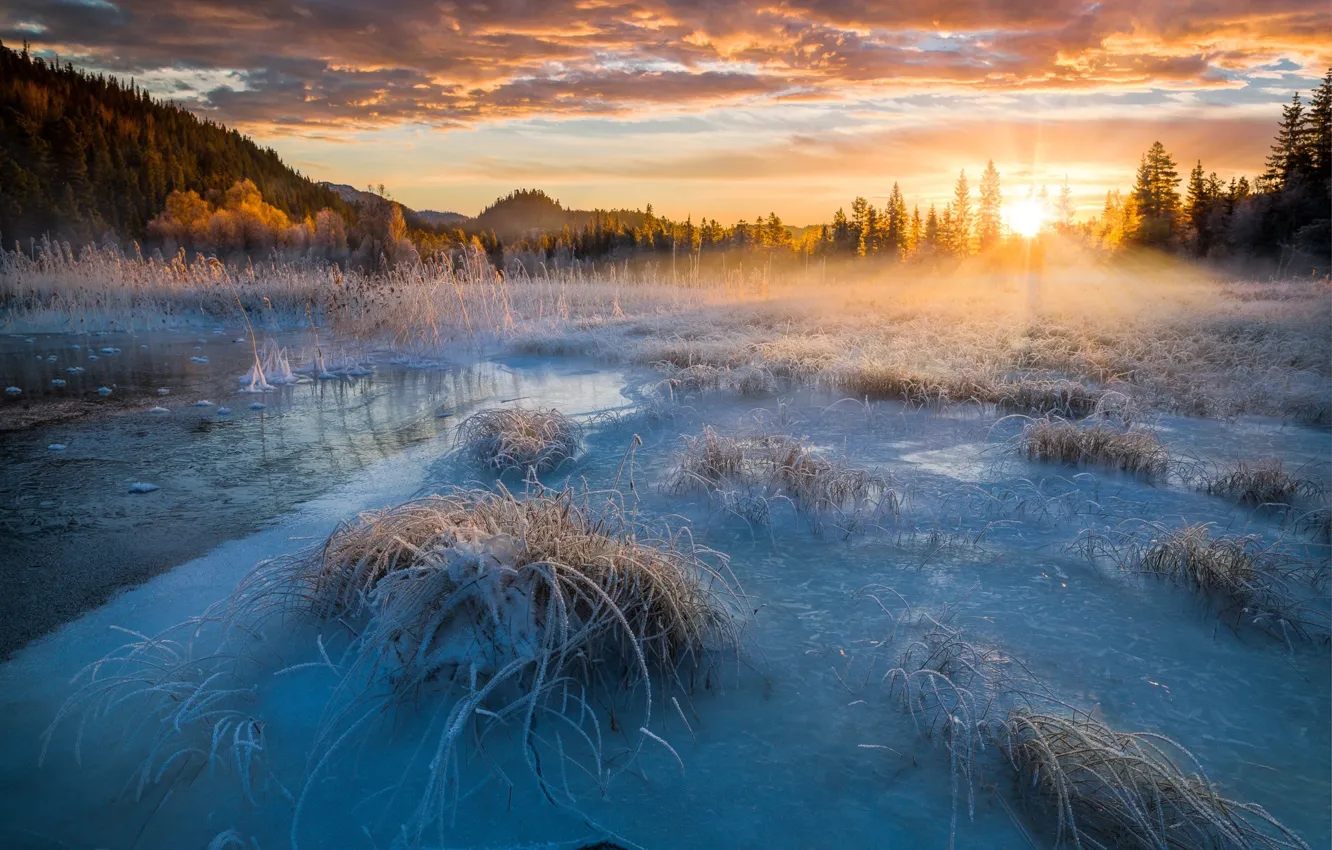 Фото обои иней, солнце, лучи, свет, снег, природа, озеро, лёд