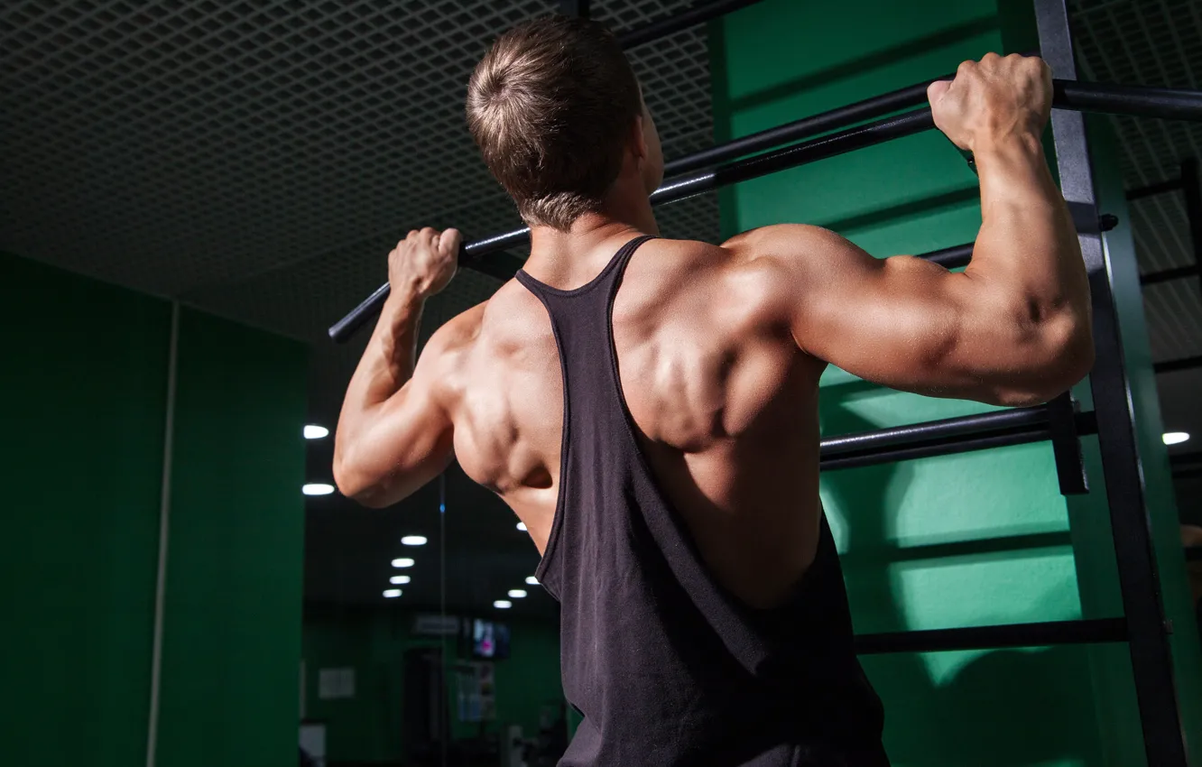 Фото обои Спина, muscle, мышцы, Back, турник, workout, тренажерный зал, gym