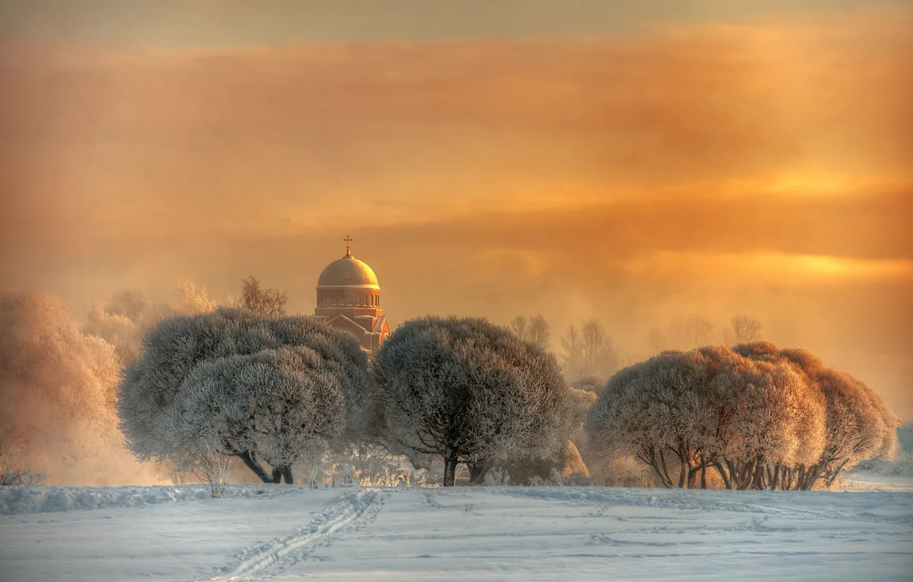 Фото обои trees, winter, dome, church
