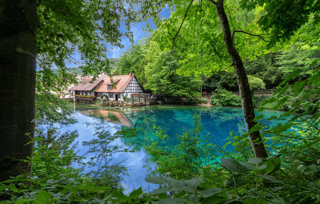 Фото обои деревья, озеро, дом, Германия, Germany, Blaubeuren, Блаубойрен, Blautopf